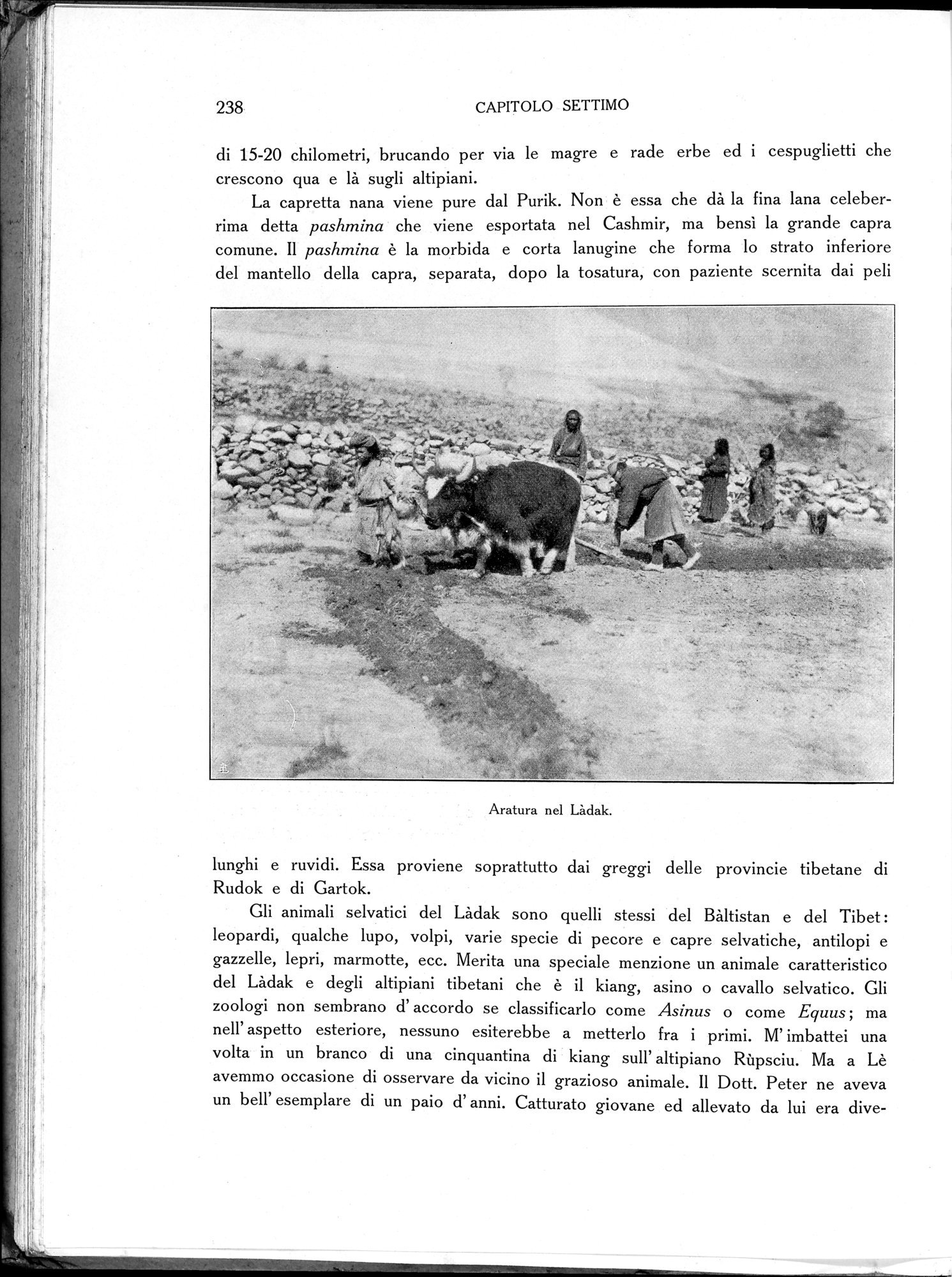 Storia della Spedizione Scientifica Italiana nel Himàlaia, Caracorùm e Turchestàn Cinese(1913-1914) : vol.1 / Page 282 (Grayscale High Resolution Image)