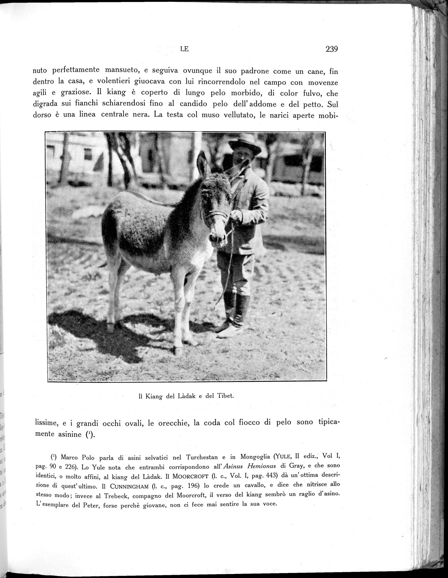 Storia della Spedizione Scientifica Italiana nel Himàlaia, Caracorùm e Turchestàn Cinese(1913-1914) : vol.1 / Page 283 (Grayscale High Resolution Image)