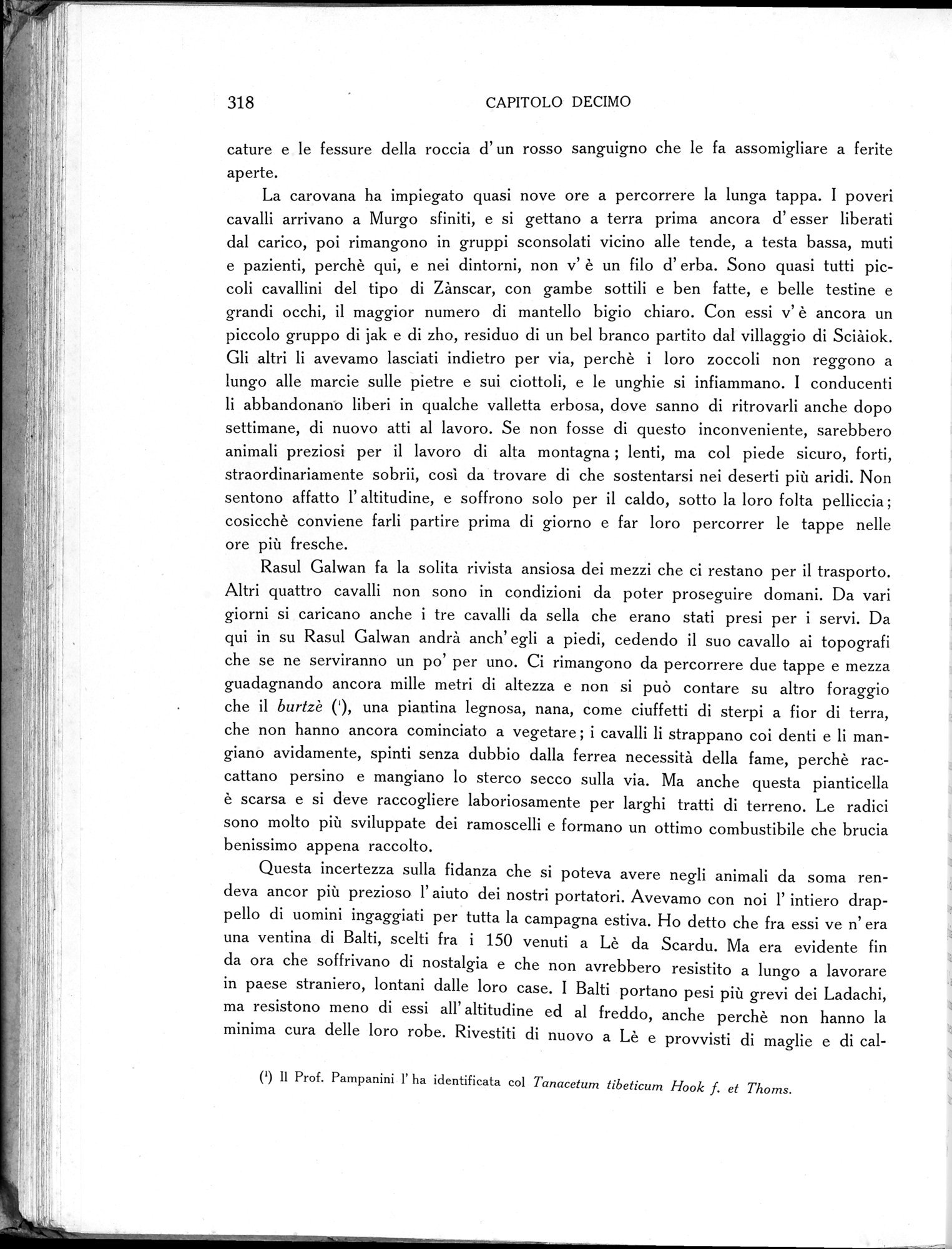 Storia della Spedizione Scientifica Italiana nel Himàlaia, Caracorùm e Turchestàn Cinese(1913-1914) : vol.1 / Page 366 (Grayscale High Resolution Image)