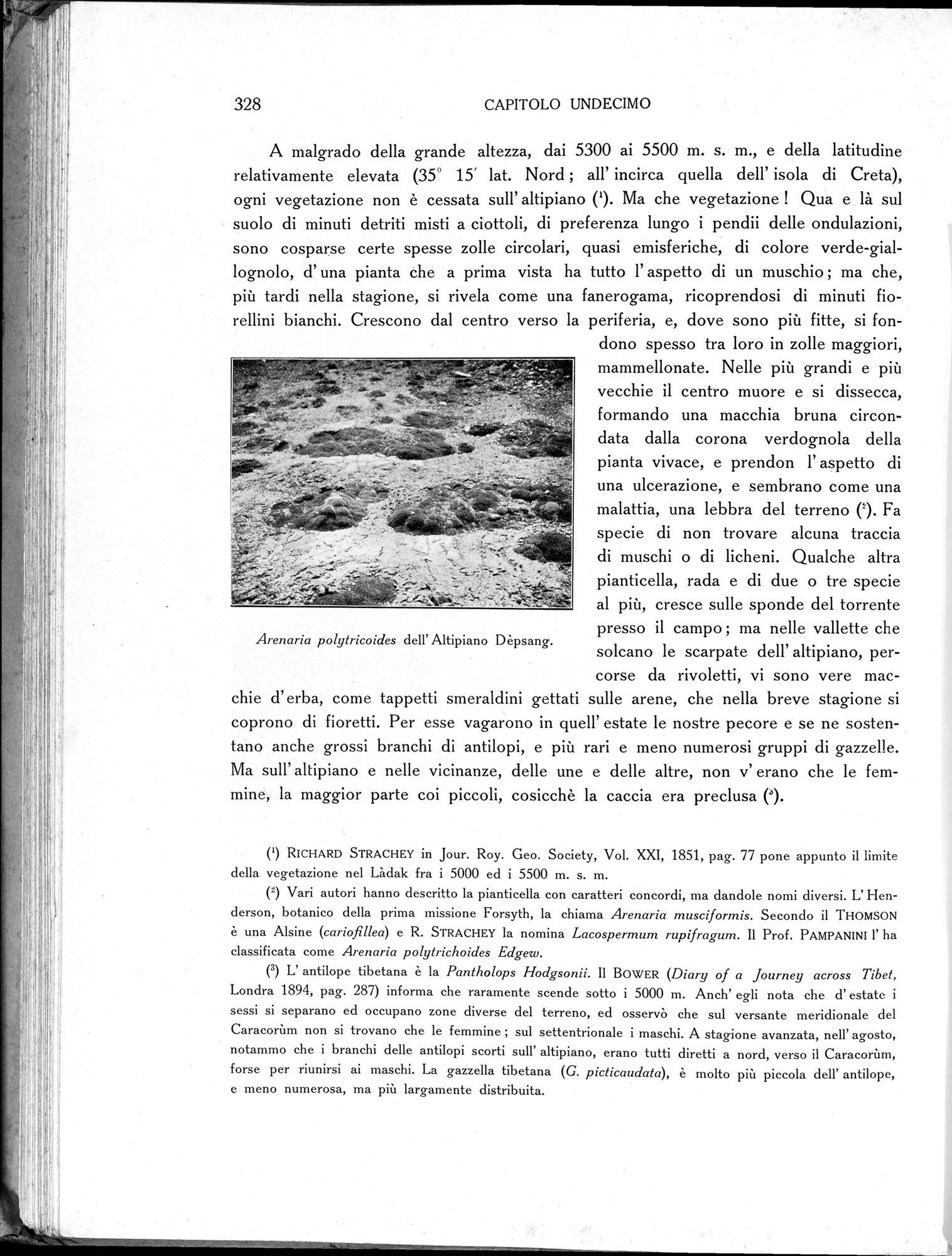 Storia della Spedizione Scientifica Italiana nel Himàlaia, Caracorùm e Turchestàn Cinese(1913-1914) : vol.1 / 378 ページ（白黒高解像度画像）