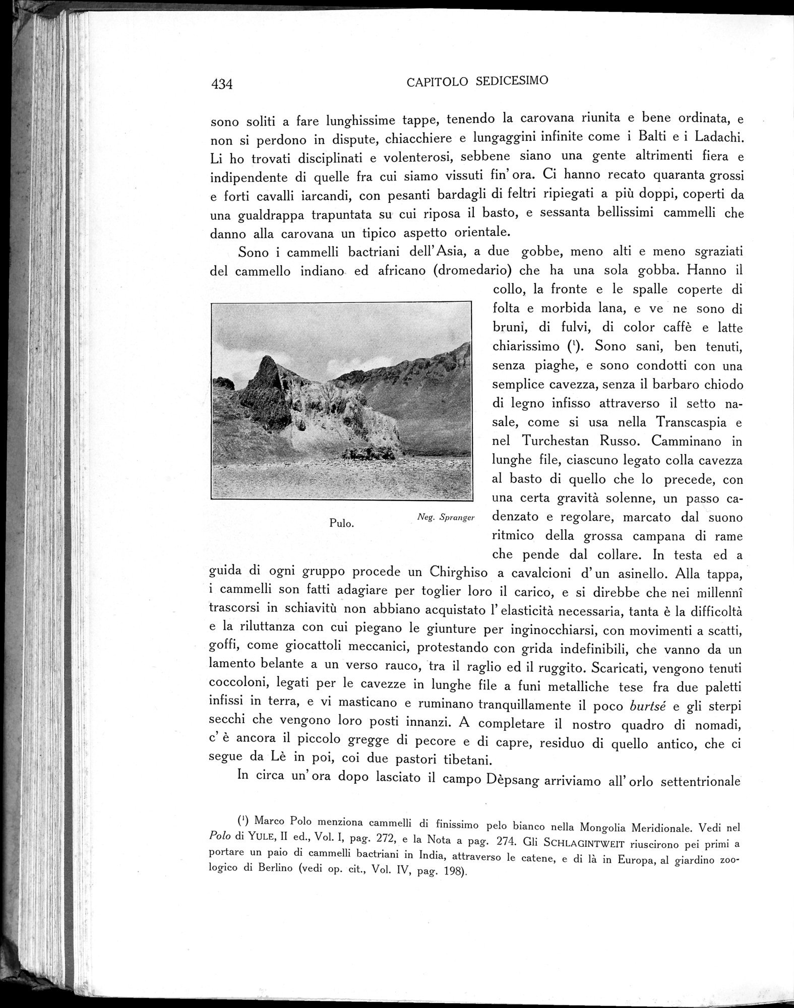 Storia della Spedizione Scientifica Italiana nel Himàlaia, Caracorùm e Turchestàn Cinese(1913-1914) : vol.1 / 514 ページ（白黒高解像度画像）