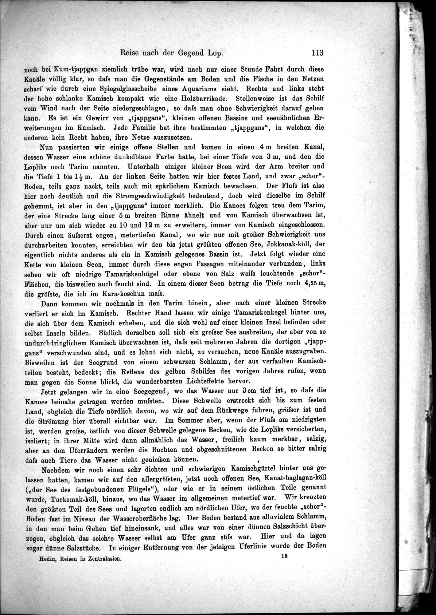 Die Geographische-Wissenschaftlichen Ergebnisse meiner Reisen in Zentralasien, 1894-1897 : vol.1 / Page 125 (Grayscale High Resolution Image)