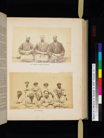 Report of a Mission to Yarkund in 1873 : vol.1 : Page 201