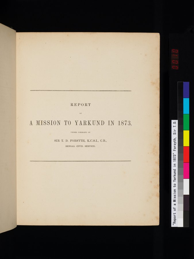 Report of a Mission to Yarkund in 1873 : vol.1 / 19 ページ（カラー画像）