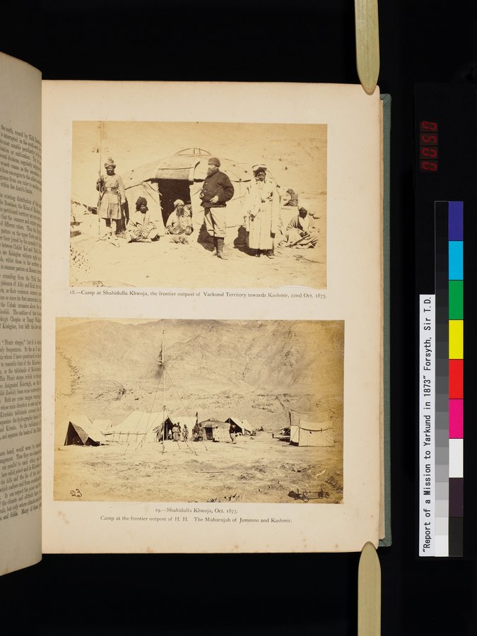 Report of a Mission to Yarkund in 1873 : vol.1 / Page 99 (Color Image)