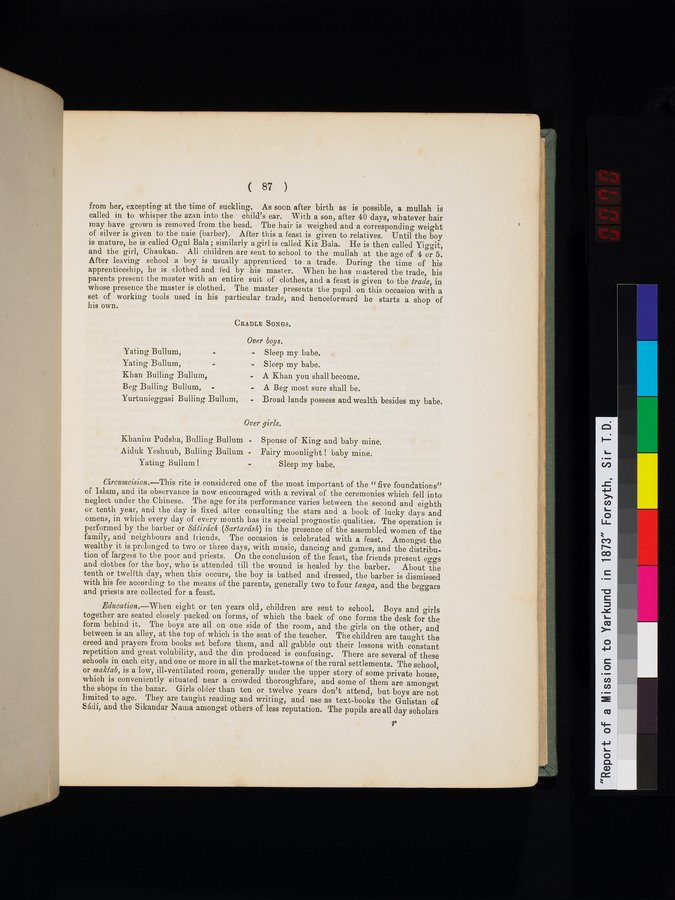 Report of a Mission to Yarkund in 1873 : vol.1 / Page 139 (Color Image)