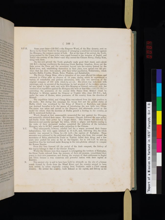 Report of a Mission to Yarkund in 1873 : vol.1 / Page 167 (Color Image)
