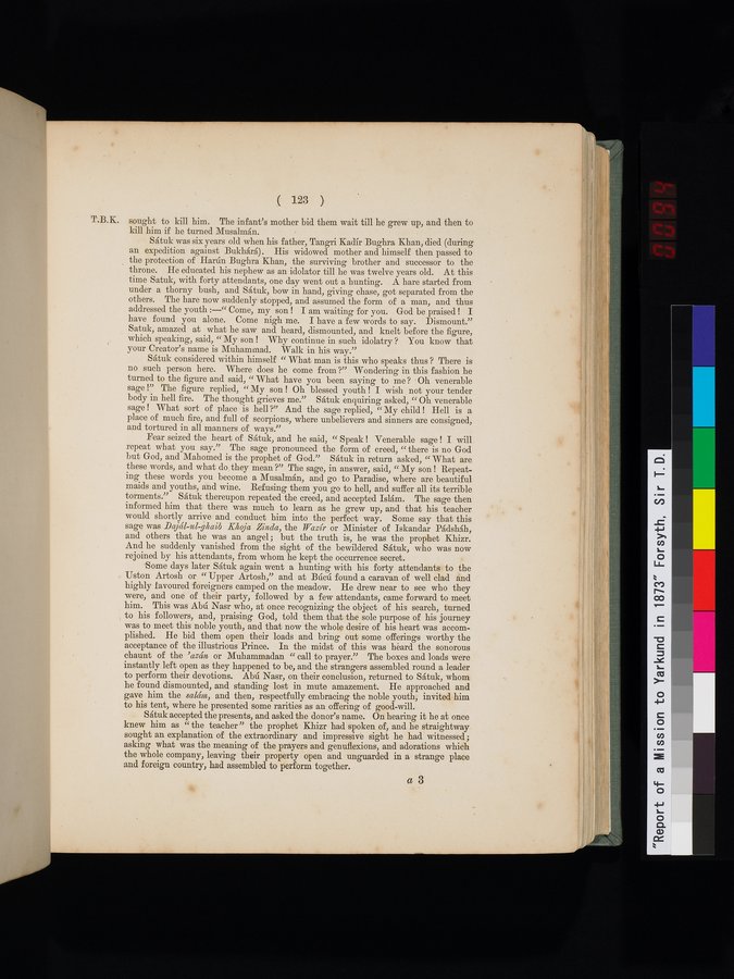 Report of a Mission to Yarkund in 1873 : vol.1 / Page 187 (Color Image)
