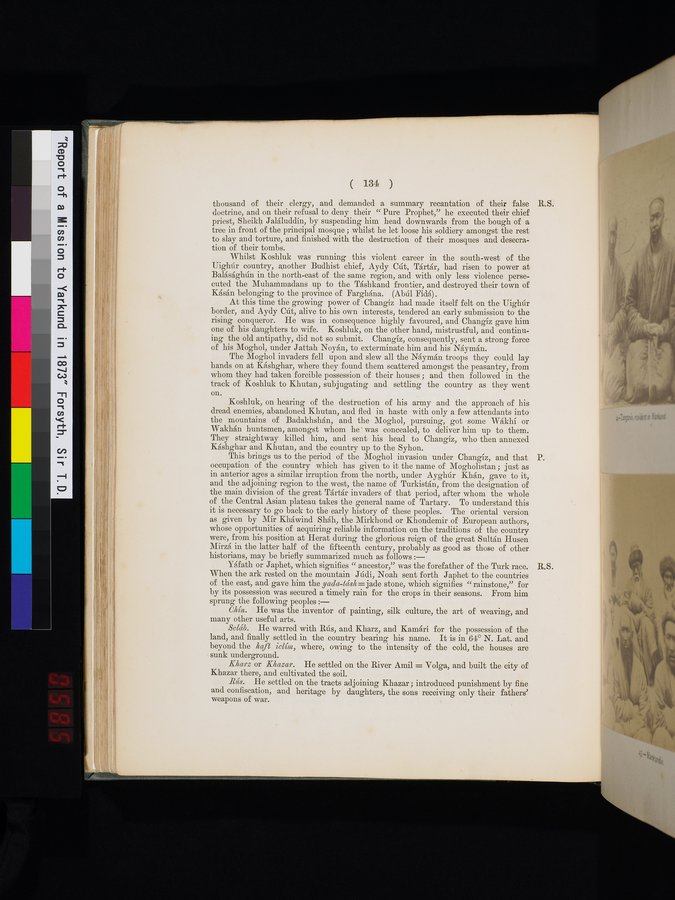 Report of a Mission to Yarkund in 1873 : vol.1 / Page 200 (Color Image)