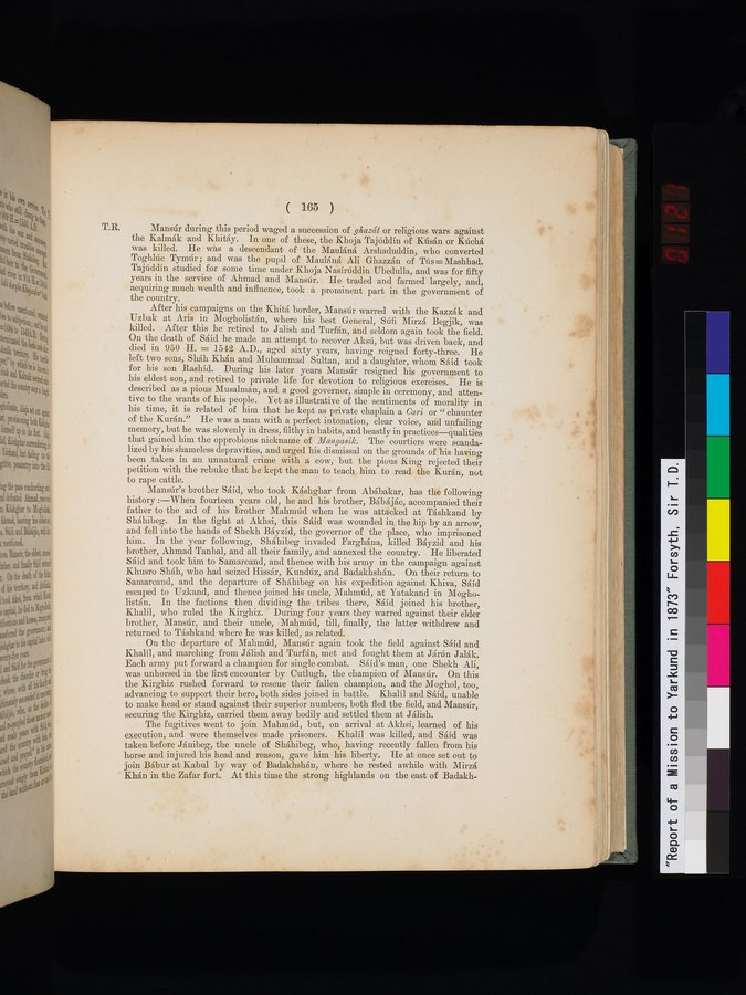 Report of a Mission to Yarkund in 1873 : vol.1 / Page 241 (Color Image)