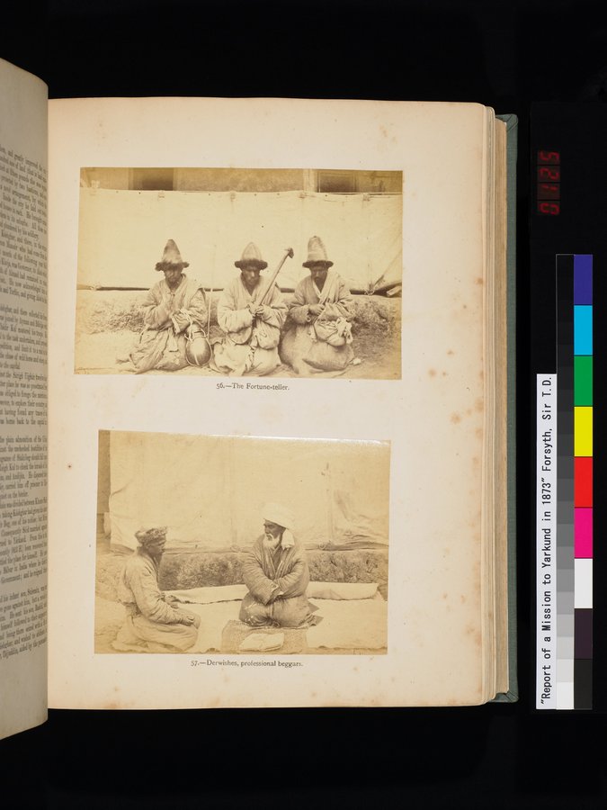 Report of a Mission to Yarkund in 1873 : vol.1 / Page 249 (Color Image)