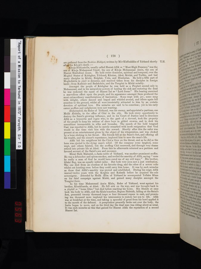 Report of a Mission to Yarkund in 1873 : vol.1 / Page 256 (Color Image)