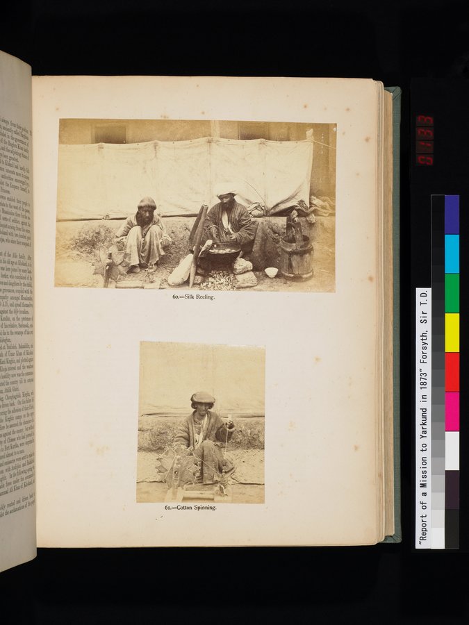 Report of a Mission to Yarkund in 1873 : vol.1 / Page 265 (Color Image)