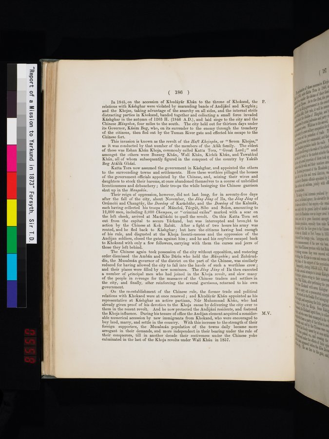 Report of a Mission to Yarkund in 1873 : vol.1 / Page 270 (Color Image)