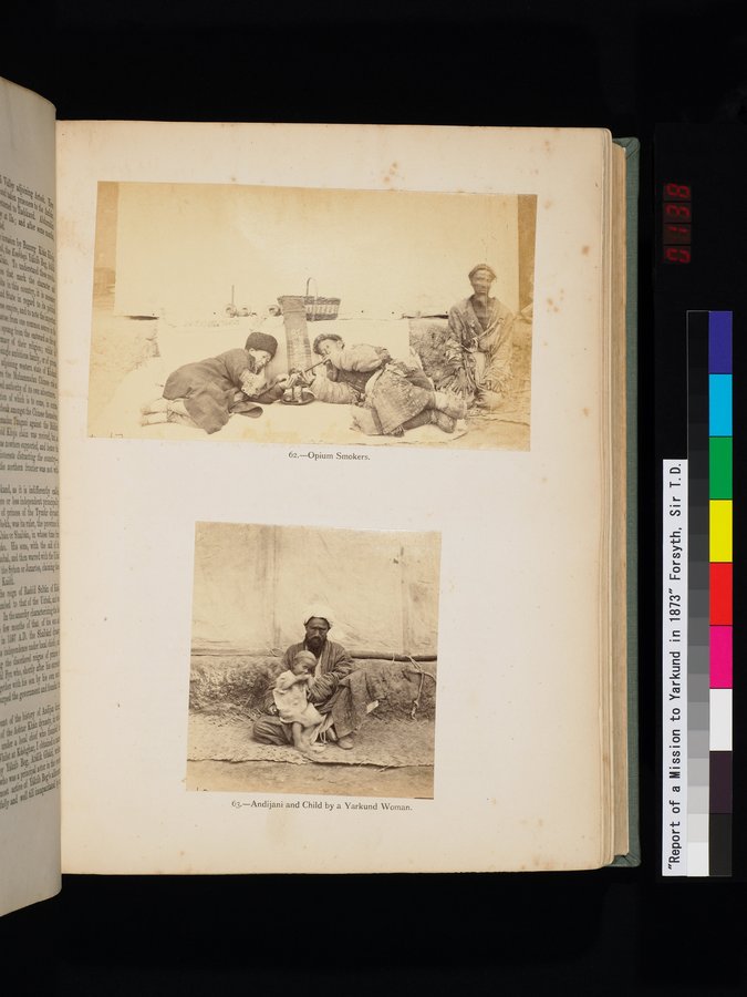 Report of a Mission to Yarkund in 1873 : vol.1 / Page 275 (Color Image)