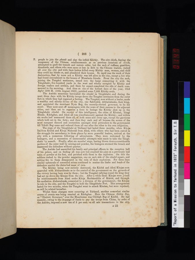 Report of a Mission to Yarkund in 1873 : vol.1 / Page 293 (Color Image)