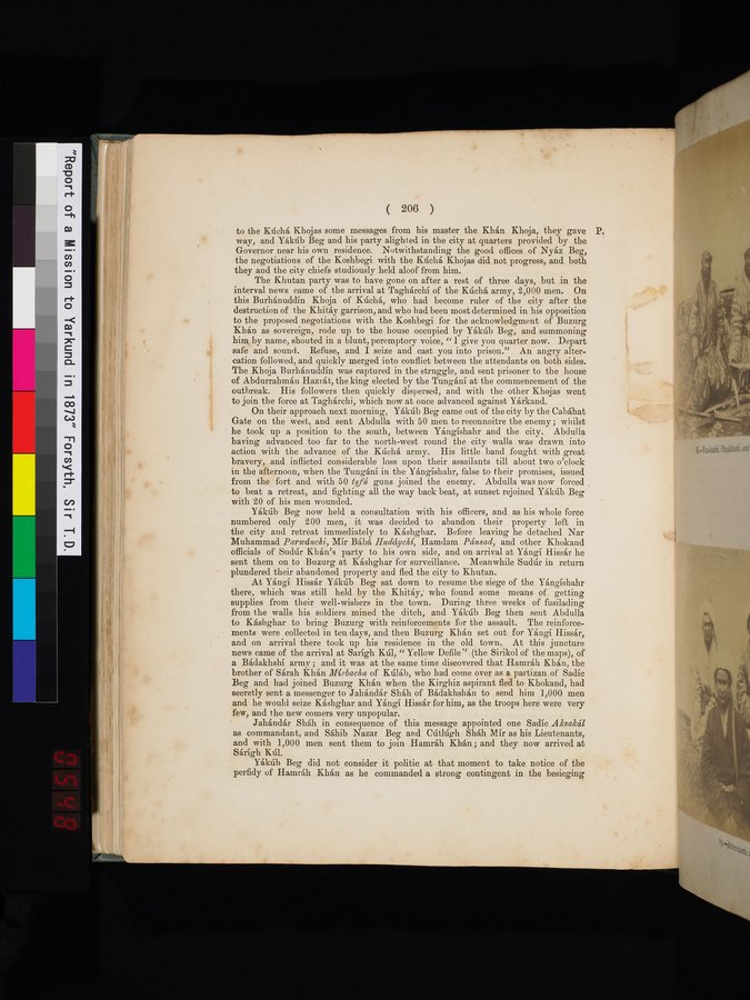 Report of a Mission to Yarkund in 1873 : vol.1 / Page 296 (Color Image)