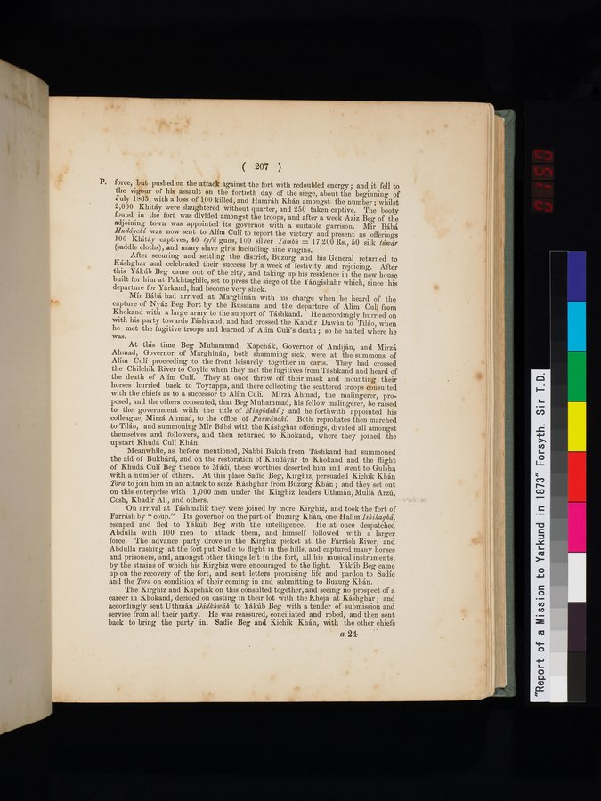 Report of a Mission to Yarkund in 1873 : vol.1 / Page 299 (Color Image)