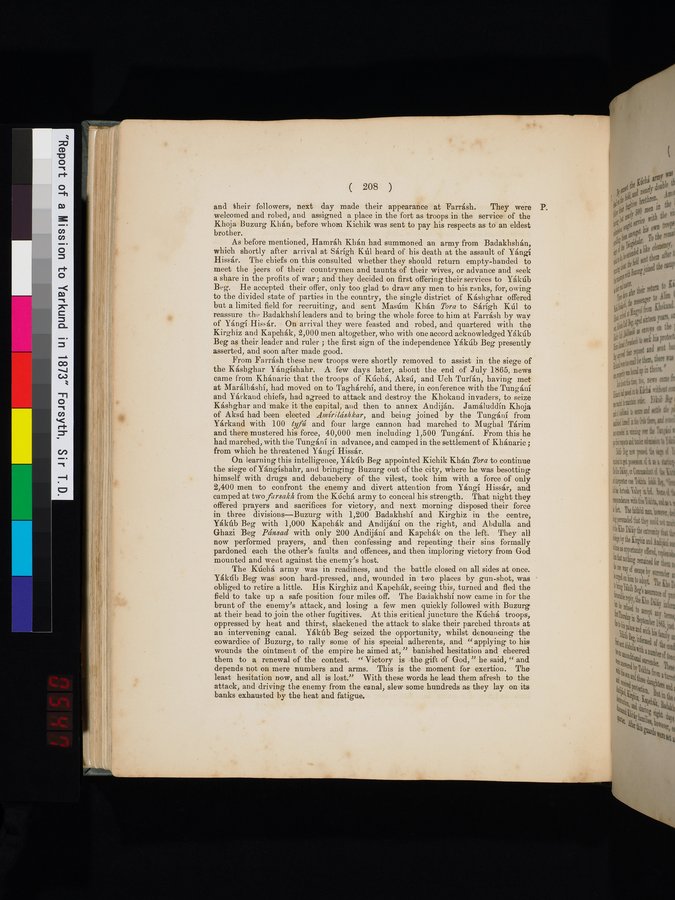 Report of a Mission to Yarkund in 1873 : vol.1 / Page 300 (Color Image)