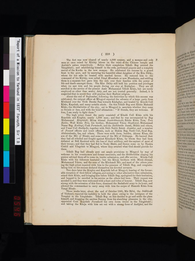 Report of a Mission to Yarkund in 1873 : vol.1 / Page 302 (Color Image)