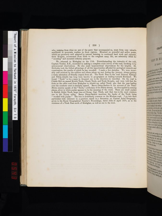 Report of a Mission to Yarkund in 1873 : vol.1 / Page 310 (Color Image)