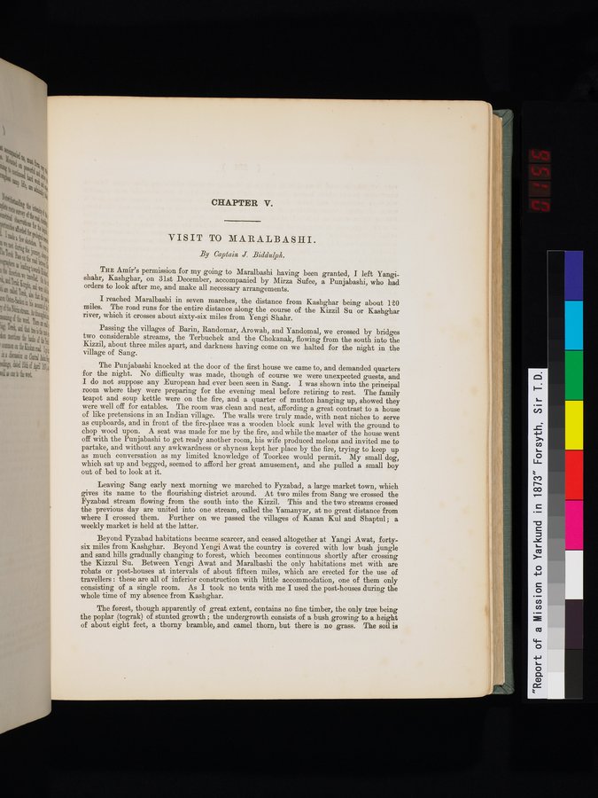 Report of a Mission to Yarkund in 1873 : vol.1 / Page 311 (Color Image)