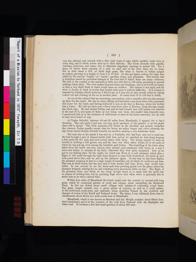 Report of a Mission to Yarkund in 1873 : vol.1 / Page 312 (Color Image)