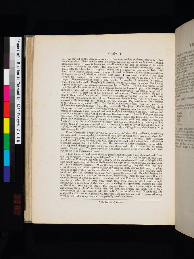 Report of a Mission to Yarkund in 1873 : vol.1 / Page 316 (Color Image)