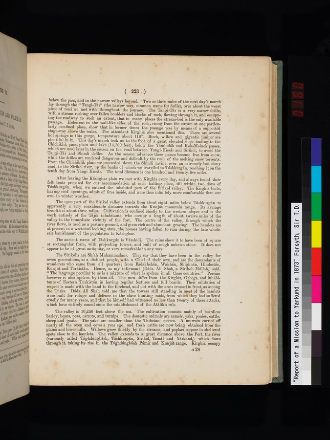 Report of a Mission to Yarkund in 1873 : vol.1 / Page 319 (Color Image)