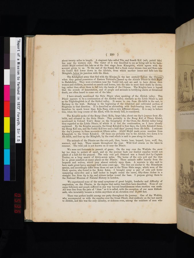 Report of a Mission to Yarkund in 1873 : vol.1 / Page 328 (Color Image)