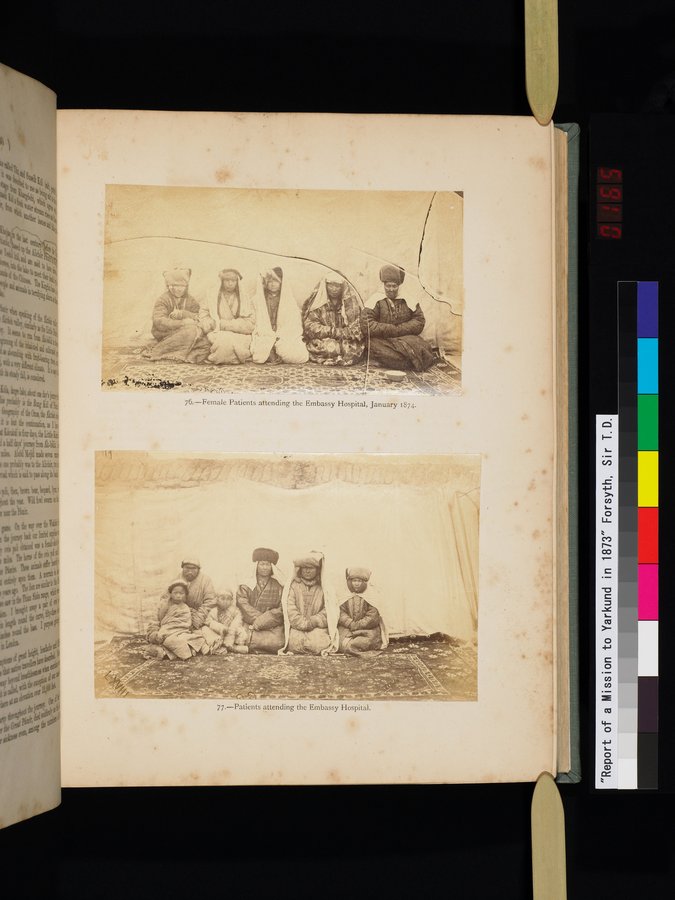 Report of a Mission to Yarkund in 1873 : vol.1 / Page 329 (Color Image)