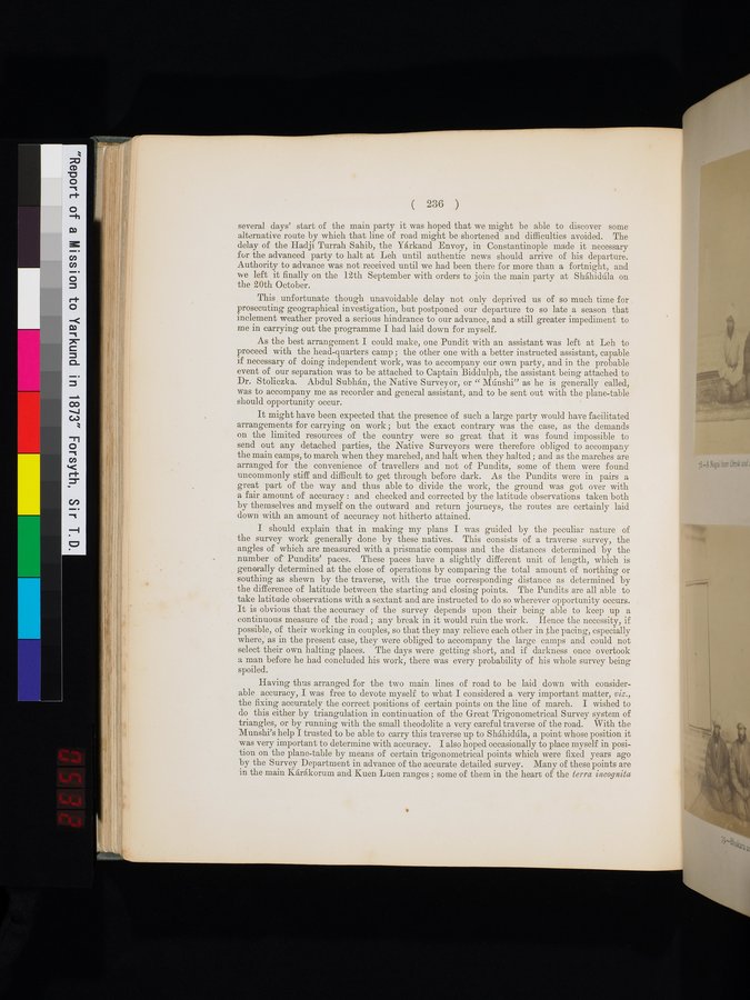Report of a Mission to Yarkund in 1873 : vol.1 / Page 336 (Color Image)