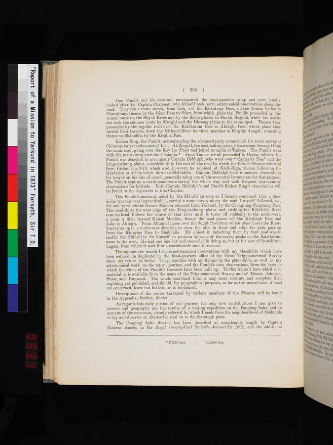 Report of a Mission to Yarkund in 1873 : vol.1 / Page 340 (Color Image)