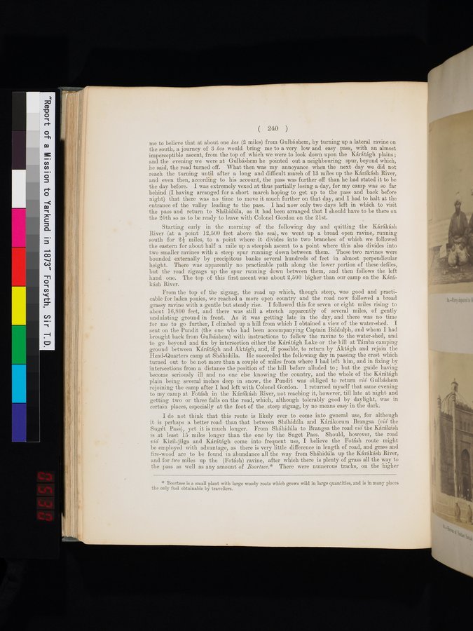 Report of a Mission to Yarkund in 1873 : vol.1 / Page 342 (Color Image)