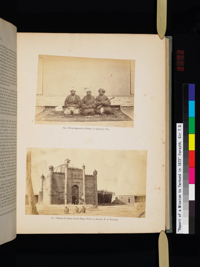 Report of a Mission to Yarkund in 1873 : vol.1 / Page 343 (Color Image)