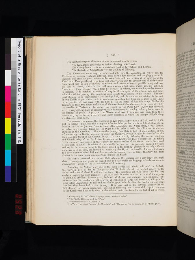 Report of a Mission to Yarkund in 1873 : vol.1 / Page 348 (Color Image)