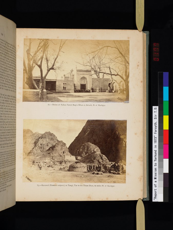 Report of a Mission to Yarkund in 1873 : vol.1 / Page 357 (Color Image)