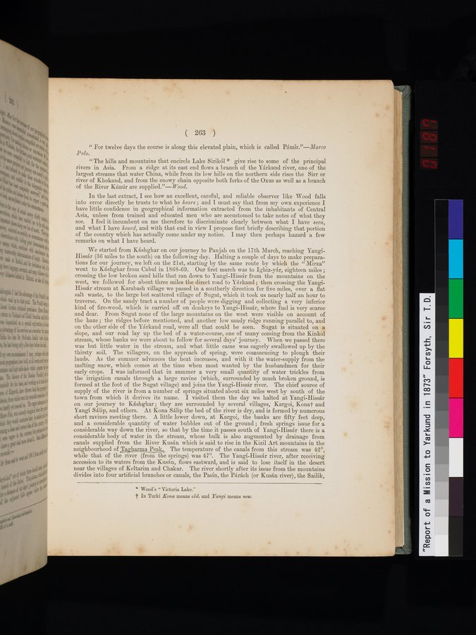 Report of a Mission to Yarkund in 1873 : vol.1 / Page 379 (Color Image)