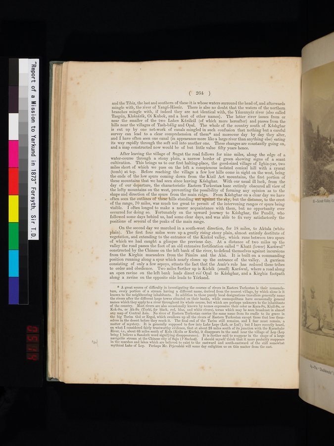 Report of a Mission to Yarkund in 1873 : vol.1 / Page 380 (Color Image)