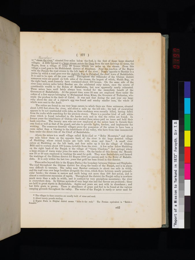 Report of a Mission to Yarkund in 1873 : vol.1 / Page 399 (Color Image)