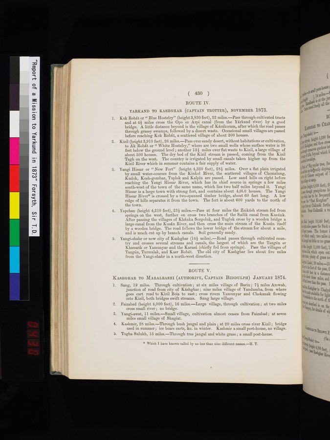 Report of a Mission to Yarkund in 1873 : vol.1 / Page 564 (Color Image)