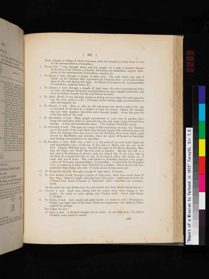 Report of a Mission to Yarkund in 1873 : vol.1 / Page 571 (Color Image)