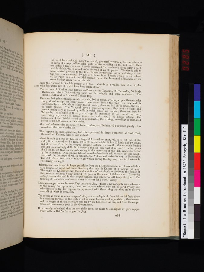 Report of a Mission to Yarkund in 1873 : vol.1 / Page 575 (Color Image)
