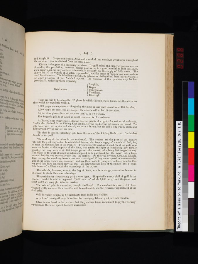 Report of a Mission to Yarkund in 1873 : vol.1 / Page 581 (Color Image)