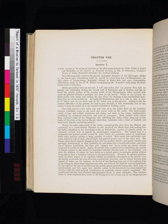 Report of a Mission to Yarkund in 1873 : vol.1 / Page 594 (Color Image)