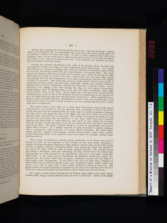 Report of a Mission to Yarkund in 1873 : vol.1 / Page 601 (Color Image)