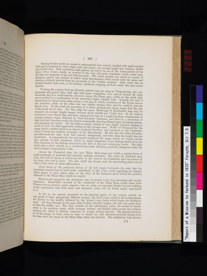 Report of a Mission to Yarkund in 1873 : vol.1 / Page 603 (Color Image)