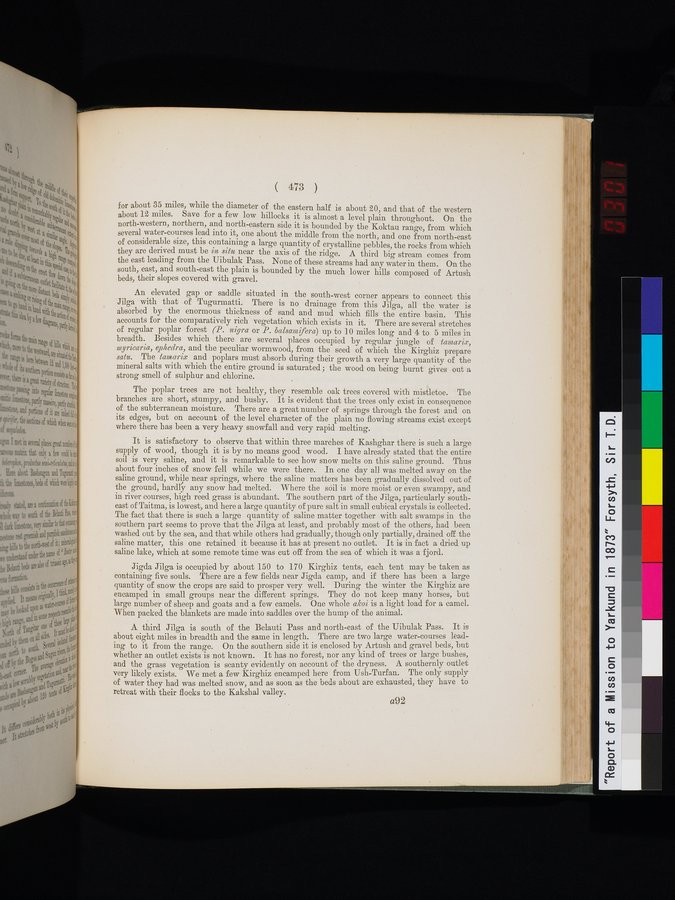 Report of a Mission to Yarkund in 1873 : vol.1 / Page 607 (Color Image)
