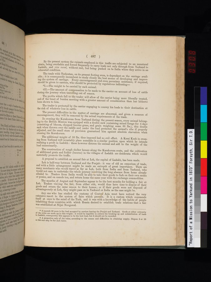 Report of a Mission to Yarkund in 1873 : vol.1 / Page 621 (Color Image)