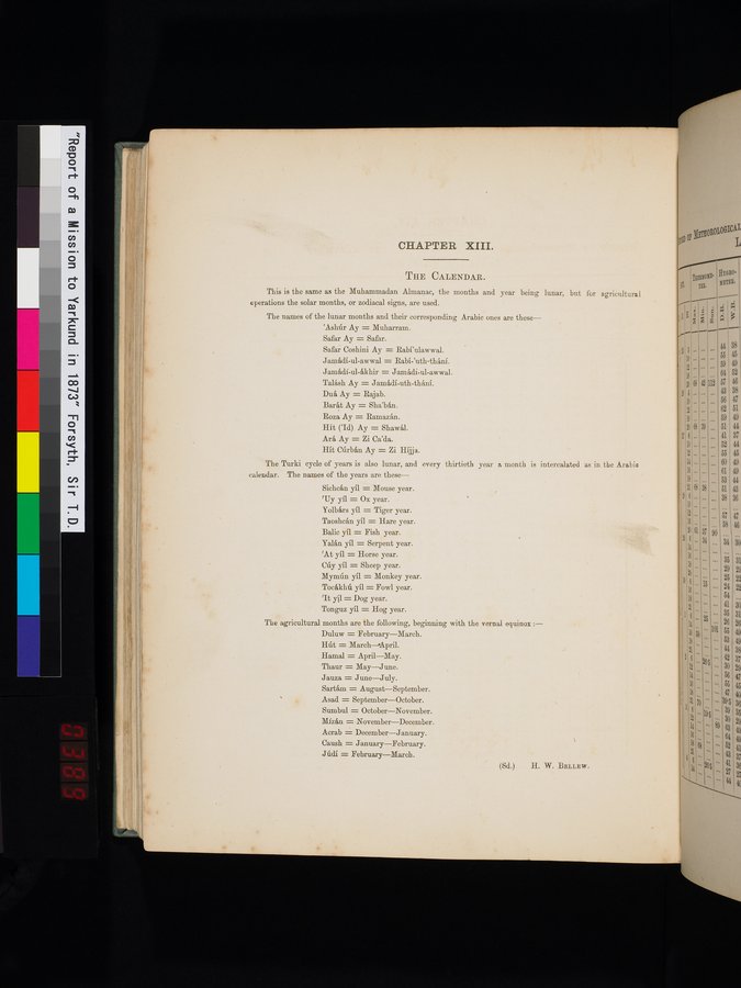 Report of a Mission to Yarkund in 1873 : vol.1 / Page 646 (Color Image)